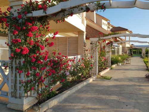 Hostal Hotel Alexandria