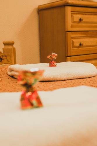 Hotel Vysoky Bereg Pansionat