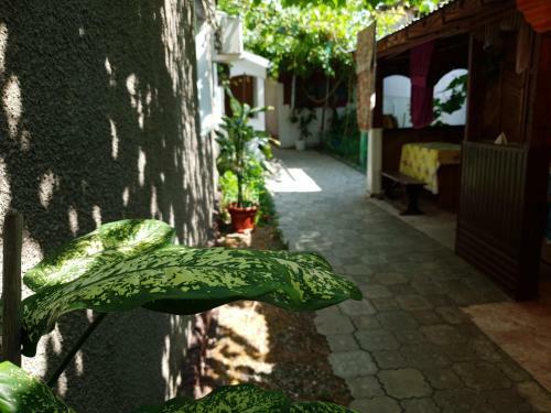 Posada Rodmar Inn