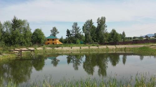Hostal Guest House Nephritis
