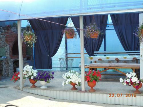 Hostal Guest House Bereza