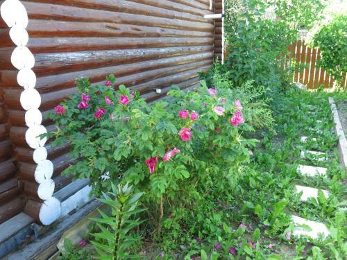 Hostal The Guest House Of Nikulin