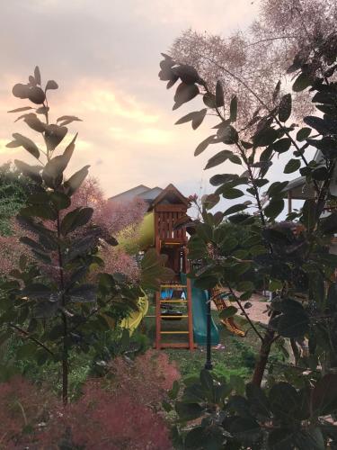 Hostal Sovy Guest House