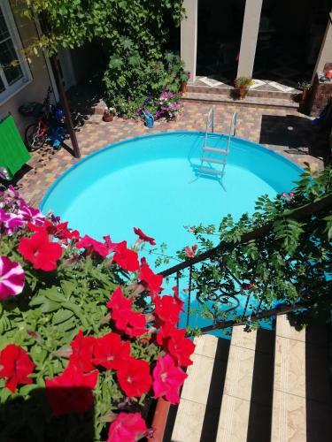 Hostal Lagrein Guest House
