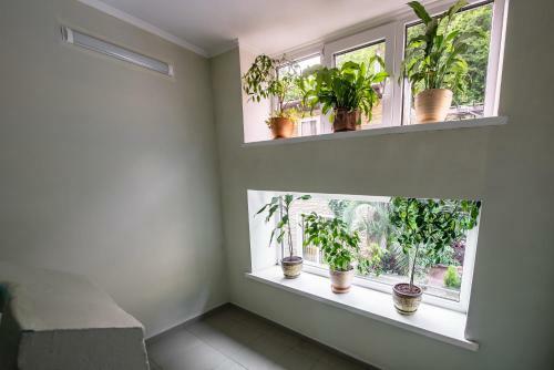 Hostal Maria Guest House