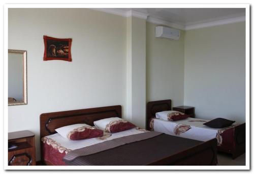 Hostal ???????? ??? ?????? 12
