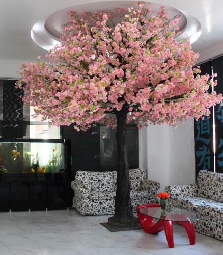 Laza Hall Hotel
