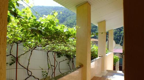 Hostal Guest House On Solnechnaya 13