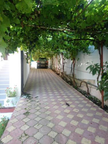 Hostal Guest House On Solnechnaya 13