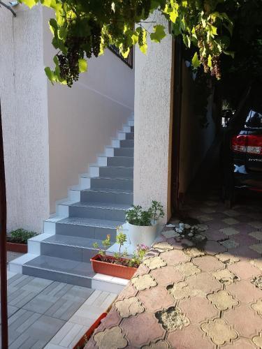 Hostal Guest House On Solnechnaya 13
