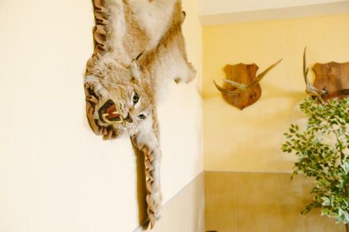 Hotel Fisch Herberg - Seld Tsarskiy Posol