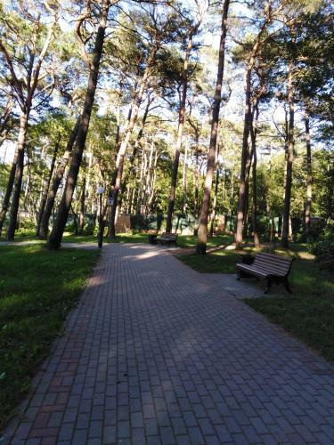 Apartments In Pine Park By The Sea