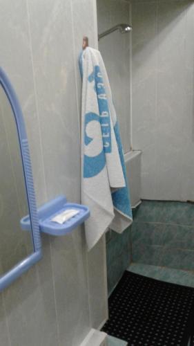 Apartment On Anisimova 9
