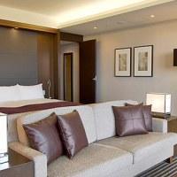 Hotel Hyatt Regency Hakone Resort And Spa