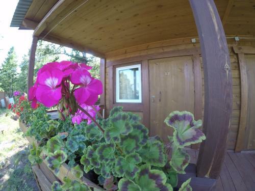 Guest Houses On Rodnye Berega