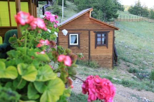 Guest Houses On Rodnye Berega