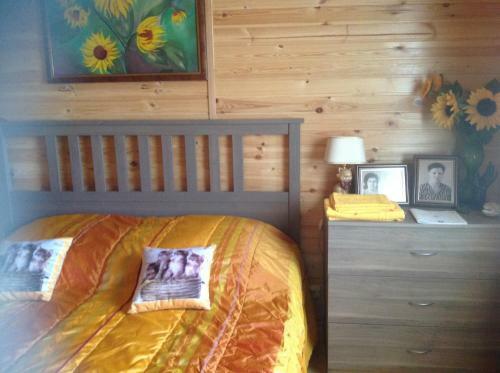 Homestay Elena In Sergiyevskoye