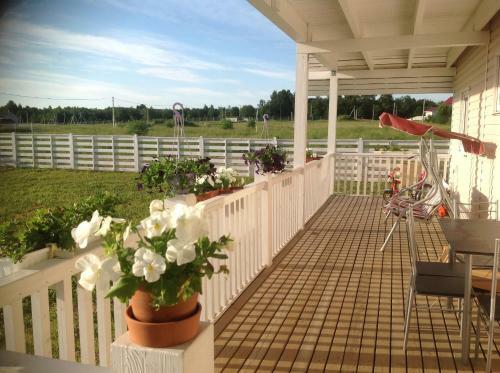 Homestay Elena In Sergiyevskoye