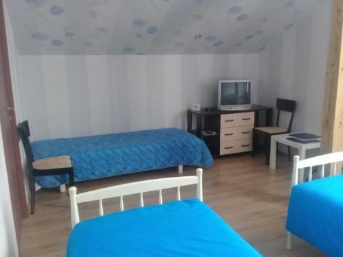 Hostal Guest House U Ozera Na Vyborgskom