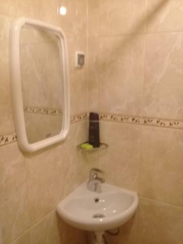 Hostal Guest House U Ozera Na Vyborgskom