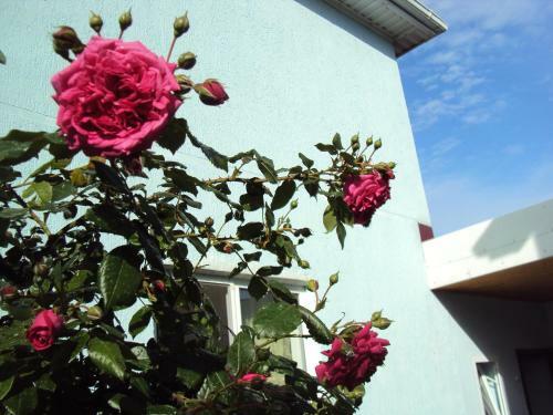 Hostal Guest House V Dolinie Roz