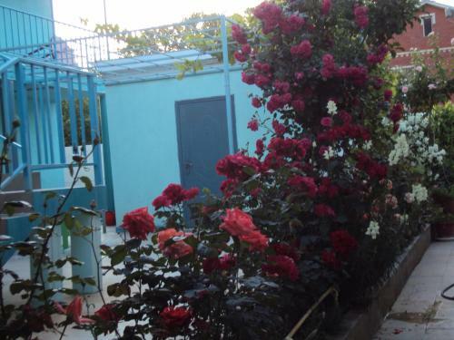 Hostal Guest House V Dolinie Roz