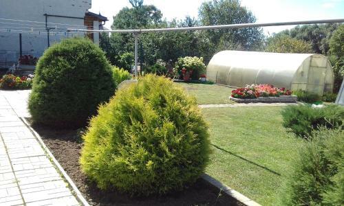 Hostal Guest House Kostin Dom