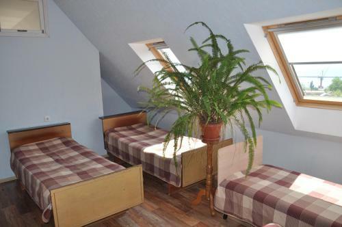 Hostal Guest House On Pionerskaya