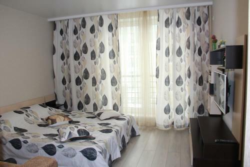 Apartamento ??????????? ????? 50 ??? ??????? 57?
