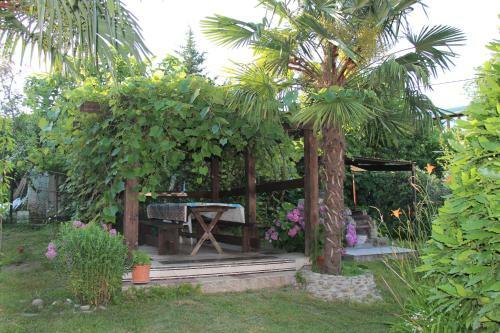Hostal U Vladimira Guesthouse