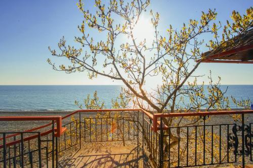 Russky Dom Divny 43�39� Spa Hotel