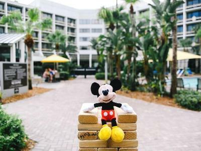 Hotel Sheraton Lake Buena Vista Resort