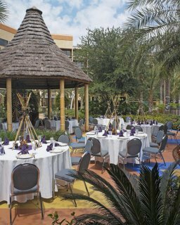 Hotel Sheraton Lake Buena Vista Resort