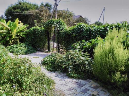 Hostal Guest House Provence