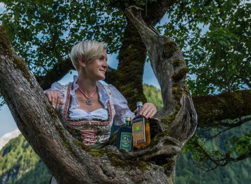 Albergue Cvet Gora - Camping, Glamping And Accomodations