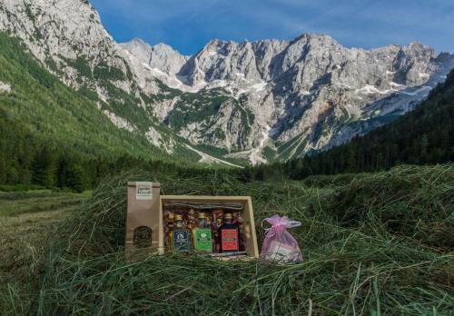 Albergue Cvet Gora - Camping, Glamping And Accomodations