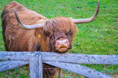 Albergue Cvet Gora - Camping, Glamping And Accomodations