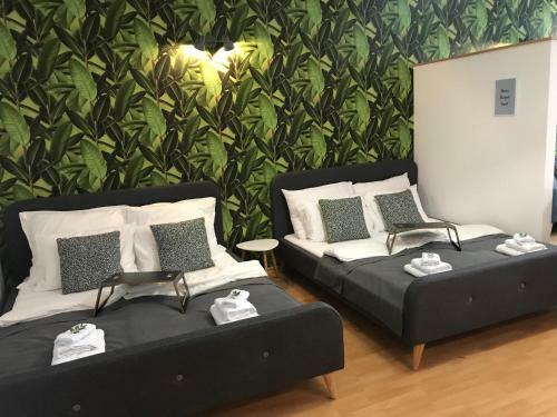 Leon Downtown Apartment