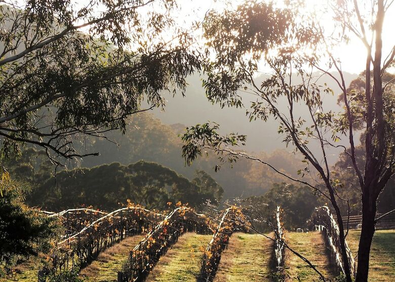 Agroturismo Blue House At Mountainside Wines