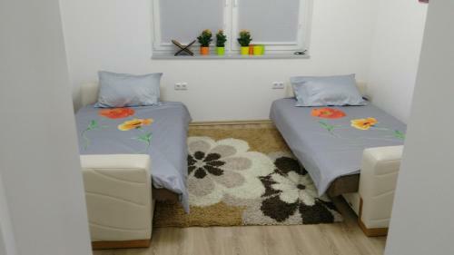 Green Garden Apartment