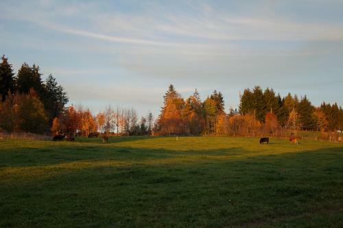 Bed & Breakfast Le Cerneux-au-maire