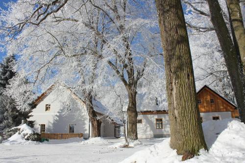 Hostal Penzion Fo?tovna