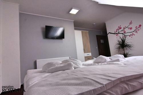Hostal Penzion Rotunda