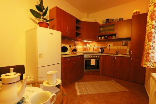 Ski Apartment