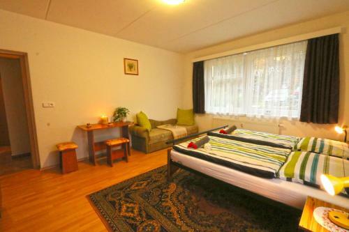 Ski Apartment