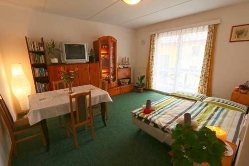 Ski Apartment