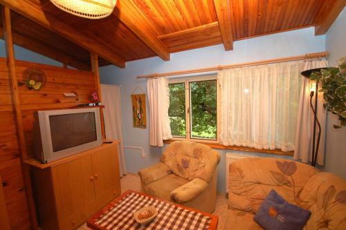 Holiday Home In Pisek/s�db�hmen 30473