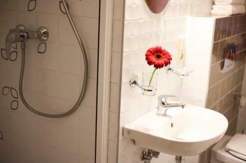 Hostal Penzion Recall