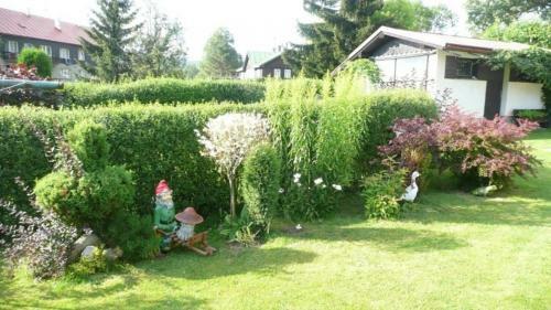 Apartm�ny Puskar?�kov�