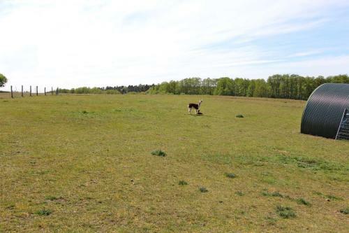 Ferienwohnungen Kuchelmi� See 6922